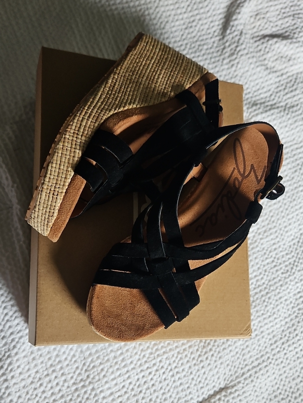 Zodiac Wedges